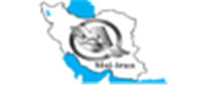 لوگوی Msi ایران